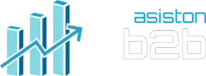 assiston-b2b